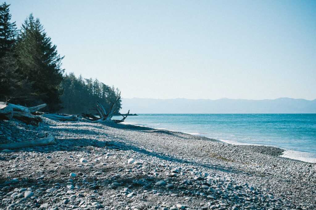 calm water and seashore near trees under white clouds