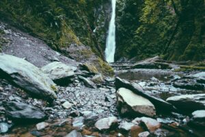 landscape photography of river and trees