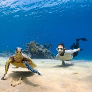 a couple of sea turtles swimming next to each other